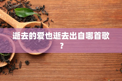 逝去的爱也逝去出自哪首歌？