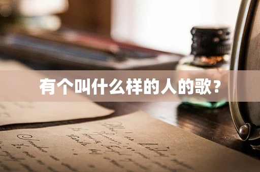 有个叫什么样的人的歌？