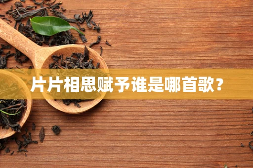 片片相思赋予谁是哪首歌？