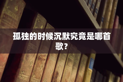 孤独的时候沉默究竟是哪首歌？