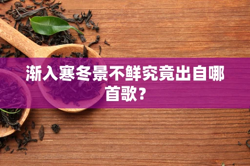 渐入寒冬景不鲜究竟出自哪首歌？