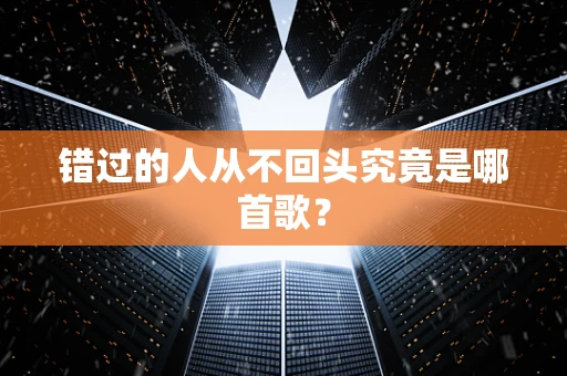 错过的人从不回头究竟是哪首歌？