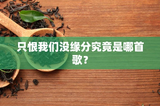 只恨我们没缘分究竟是哪首歌？