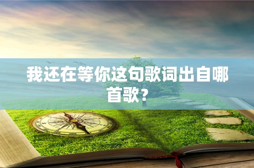 我还在等你这句歌词出自哪首歌？