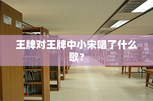 王牌对王牌中小宋唱了什么歌？