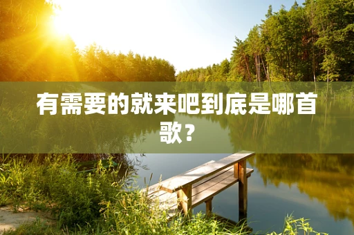 有需要的就来吧到底是哪首歌？