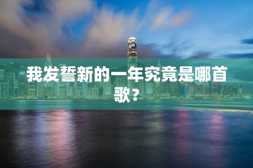 我发誓新的一年究竟是哪首歌？