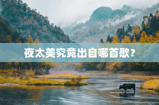 夜太美究竟出自哪首歌？
