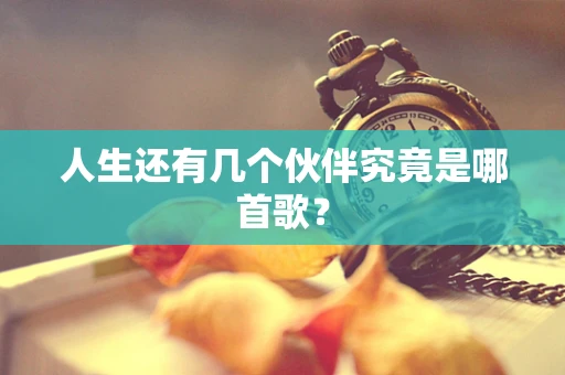 人生还有几个伙伴究竟是哪首歌？