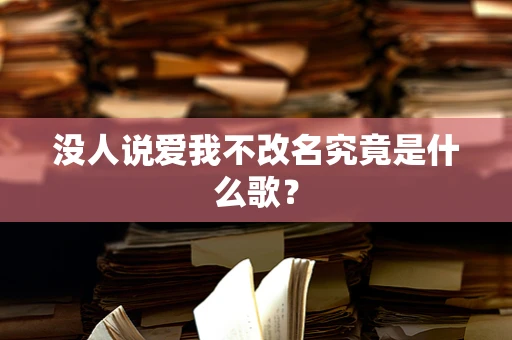没人说爱我不改名究竟是什么歌？
