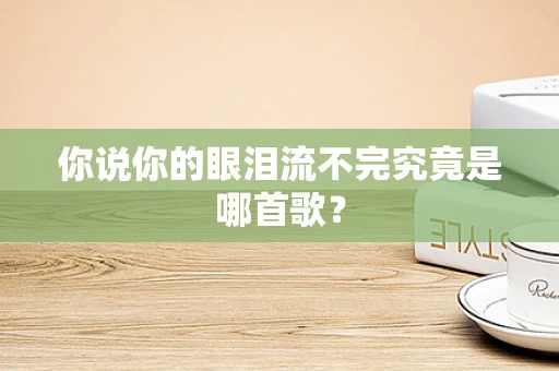 你说你的眼泪流不完究竟是哪首歌？