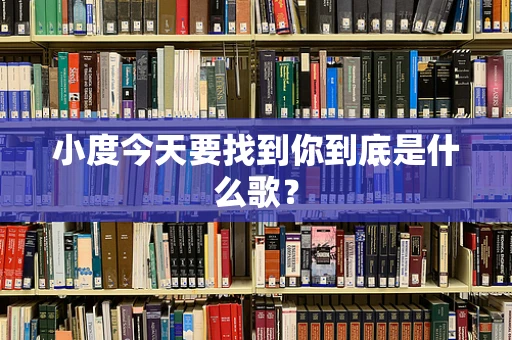 小度今天要找到你到底是什么歌？