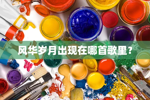 风华岁月出现在哪首歌里？