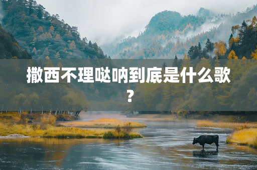 撒西不理哒呐到底是什么歌？