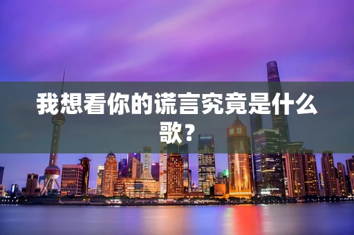 我想看你的谎言究竟是什么歌？