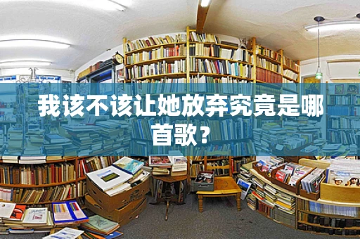 我该不该让她放弃究竟是哪首歌？