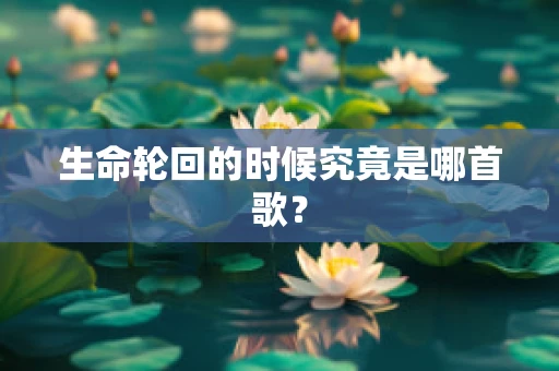 生命轮回的时候究竟是哪首歌？
