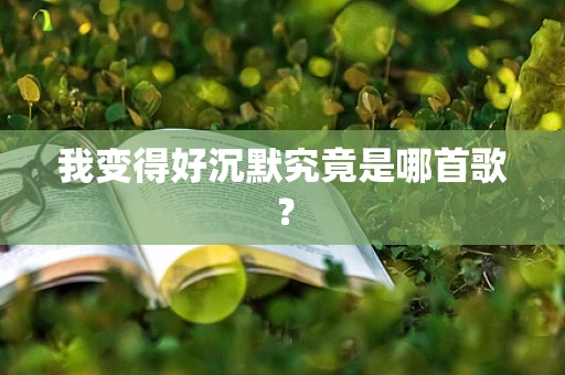 我变得好沉默究竟是哪首歌？