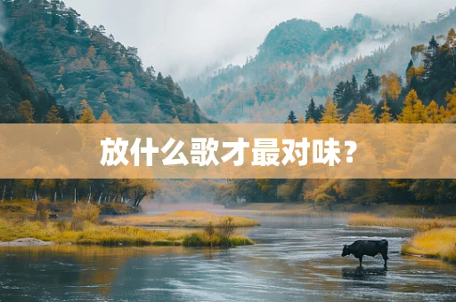 放什么歌才最对味？