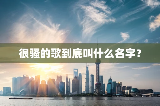 很骚的歌到底叫什么名字？