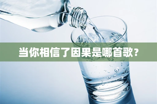 当你相信了因果是哪首歌？