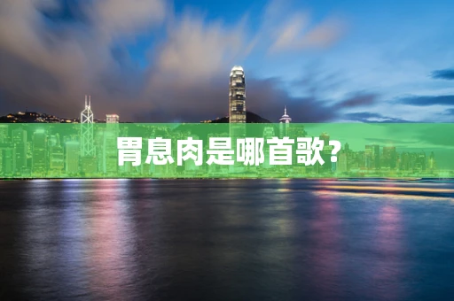 胃息肉是哪首歌？
