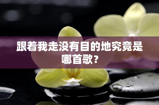 跟着我走没有目的地究竟是哪首歌？