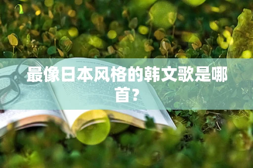 最像日本风格的韩文歌是哪首？