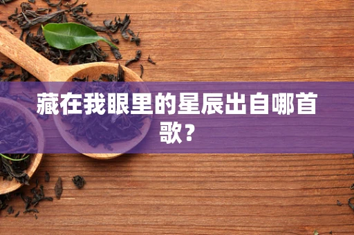 藏在我眼里的星辰出自哪首歌？