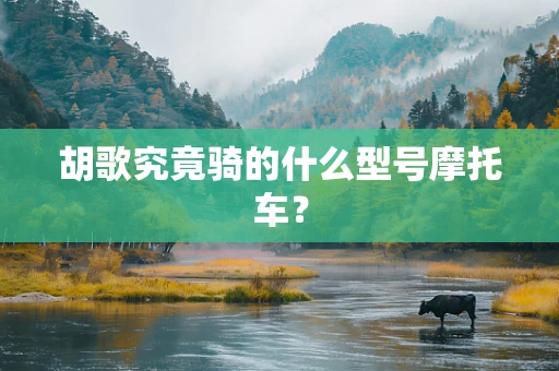 胡歌究竟骑的什么型号摩托车？