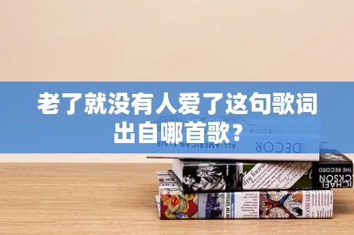 老了就没有人爱了这句歌词出自哪首歌？