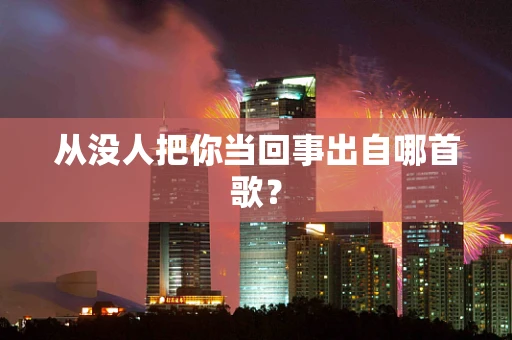 从没人把你当回事出自哪首歌？