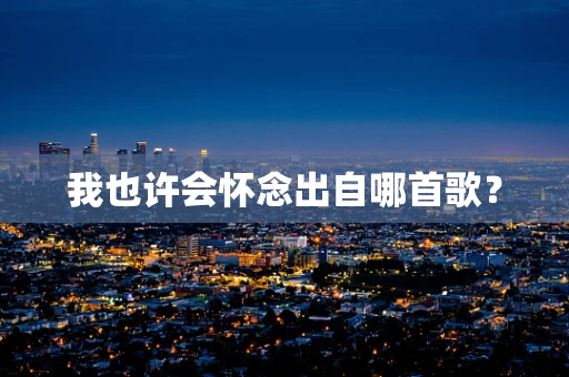 我也许会怀念出自哪首歌？