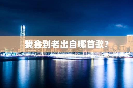 我会到老出自哪首歌？