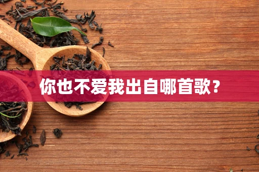你也不爱我出自哪首歌？