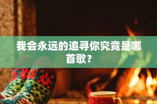 我会永远的追寻你究竟是哪首歌？