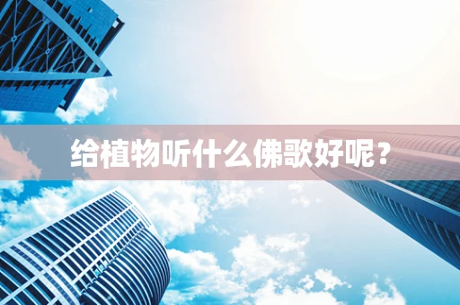 给植物听什么佛歌好呢？