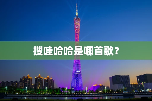 搜哇哈哈是哪首歌？