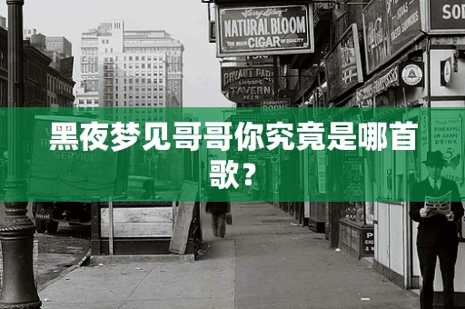 黑夜梦见哥哥你究竟是哪首歌？