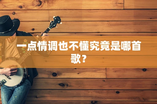 一点情调也不懂究竟是哪首歌？