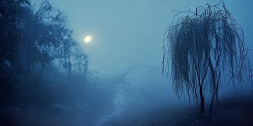 一曲忧伤究竟是哪首歌？