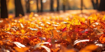 10月最近火的歌都有哪些呢?