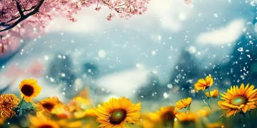 四季都适合听的歌究竟有哪些？