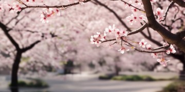最像日本风格的韩文歌是哪首？