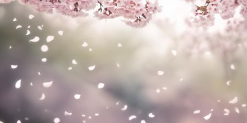 偏偏留下伤痛究竟是哪首歌？