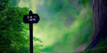 离开后就别回头了出自哪首歌？