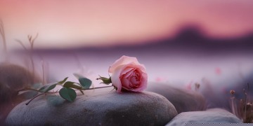 爱的错觉究竟是什么歌？