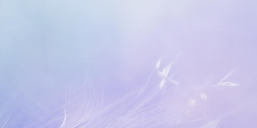 空白你的离开是哪首歌？