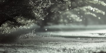 曾经相遇又离开到底是哪首歌？
