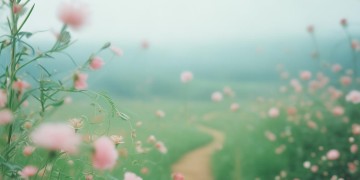 傻傻的把你搞丢究竟是哪首歌？